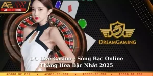 DG Live Casino