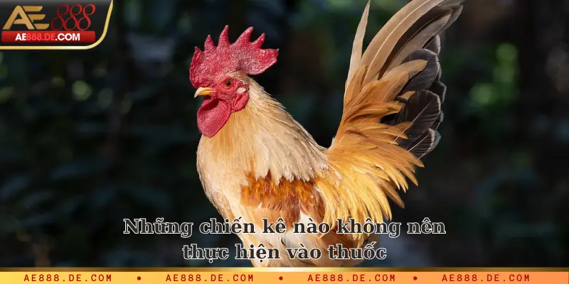 Những chiến kê nào không nên thực hiện vào thuốc